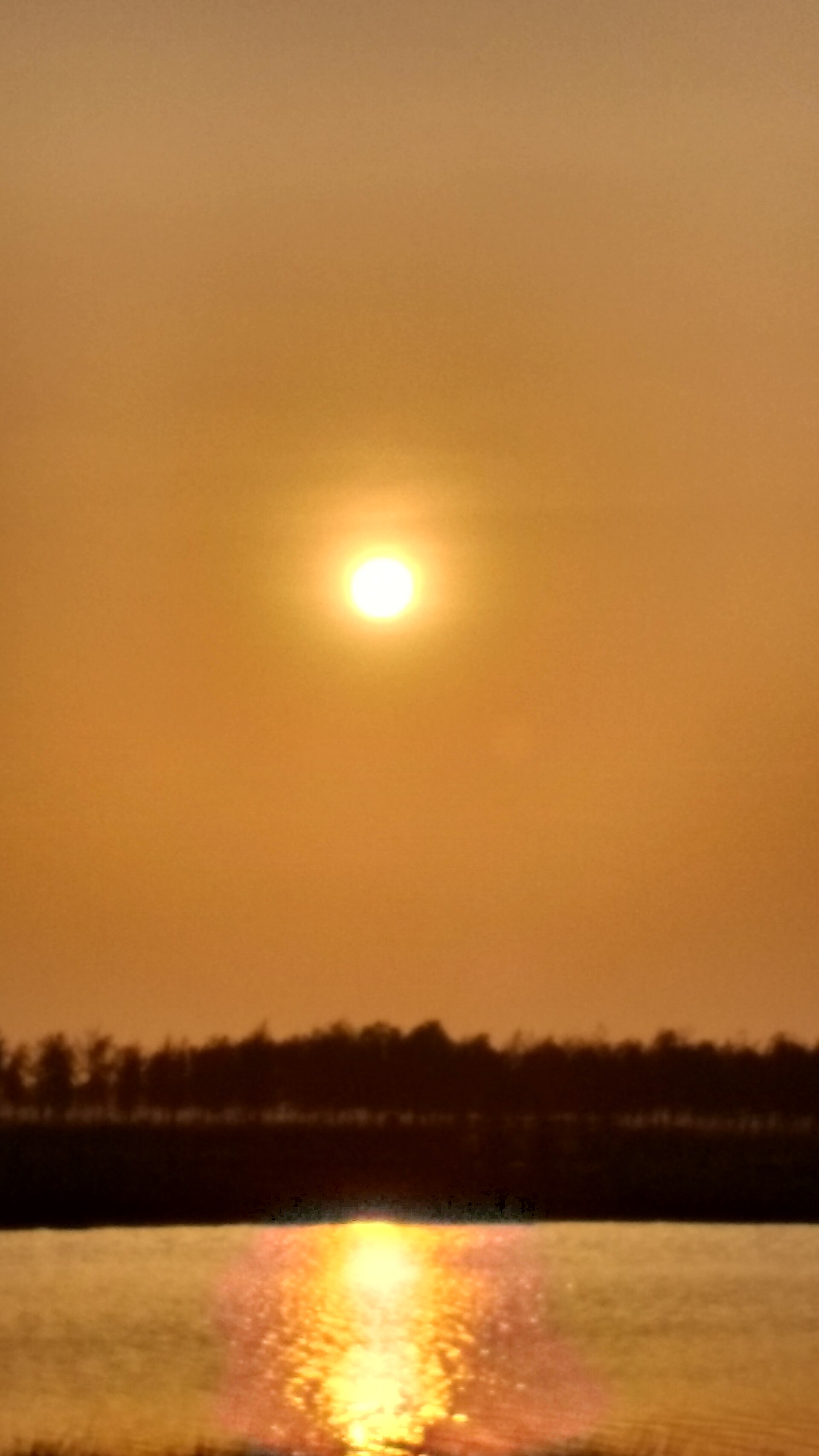 The sun setting over the Bay of Bengal on the coast near Konark, south of Puri