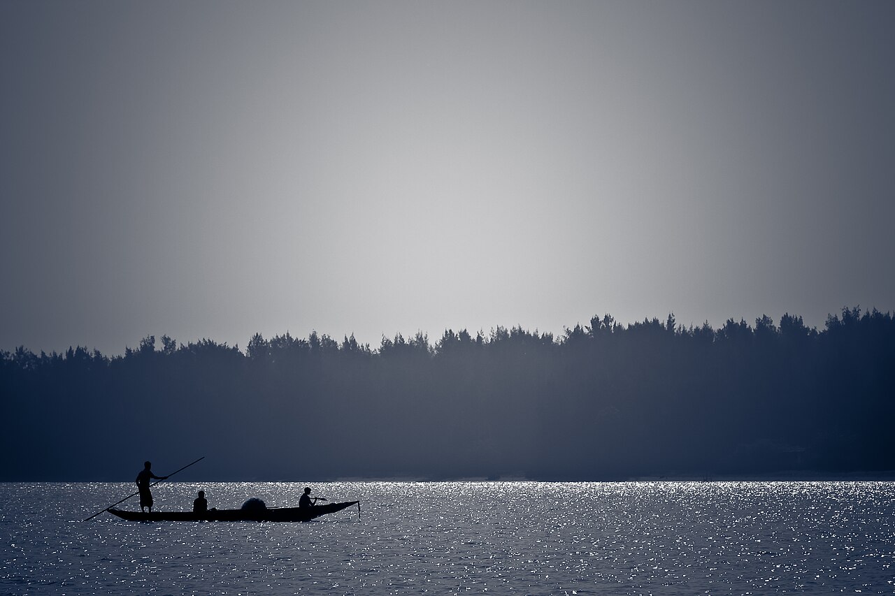 Chilika Lake and its wetland margins, with boats working the open water