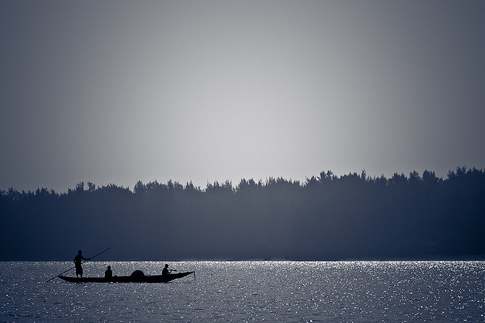 Chilika Lake on the Odisha coast, with boats on the open water
